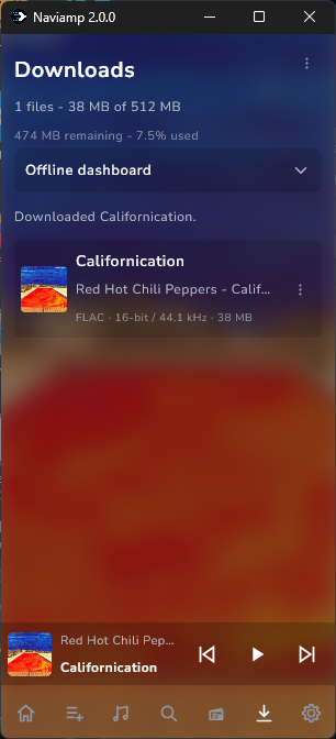 Downloads and offline dashboard