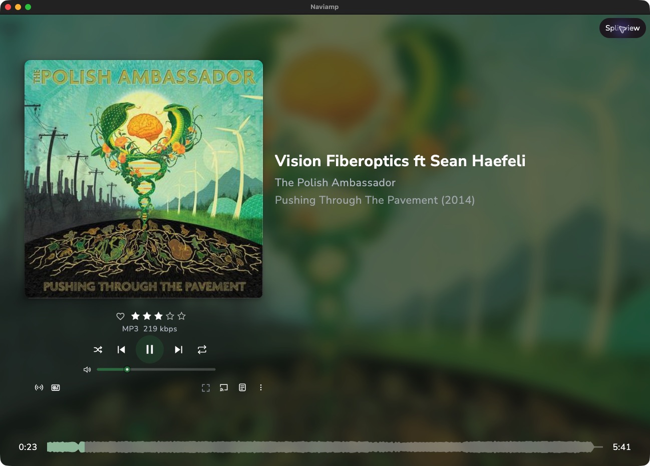 Naviamp desktop player connected to the Navidrome demo library